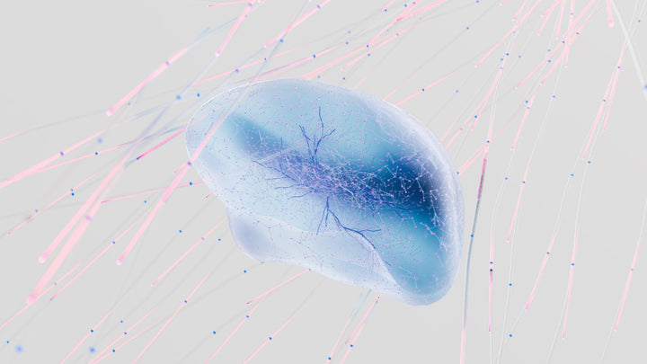 Psychedelic Therapy: Promise, Precaution and the Genetics Behind Individual Response