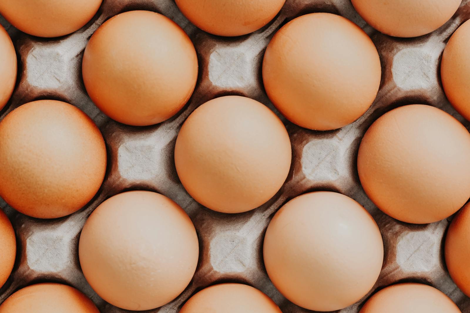 Brown eggs arranged in a tray — eggs are one of the easiest dietary sources of Vitamin B12, the vitamin most commonly deficient in vegetarians and adults over 50.