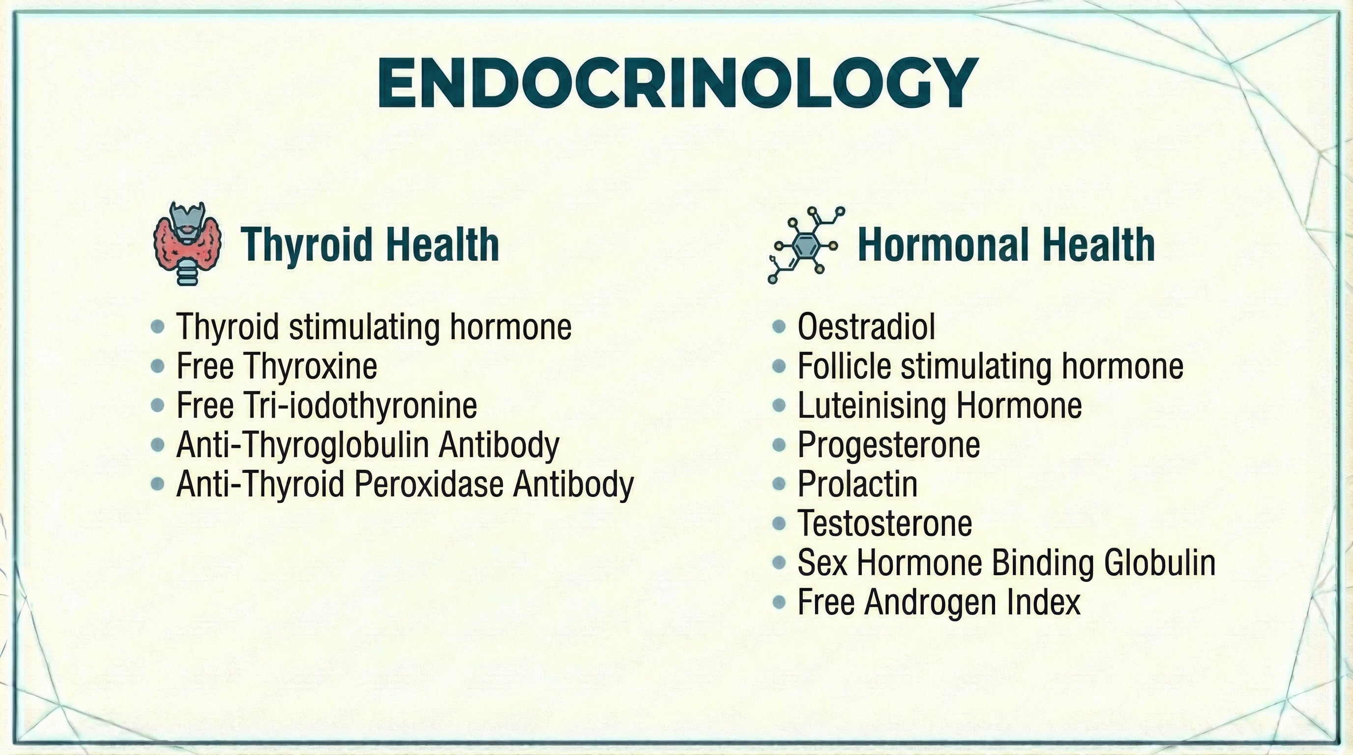 Endocrinology blood test panel covering Thyroid Health including TSH and Free Thyroxine and Hormonal Health including Oestradiol and Testosterone