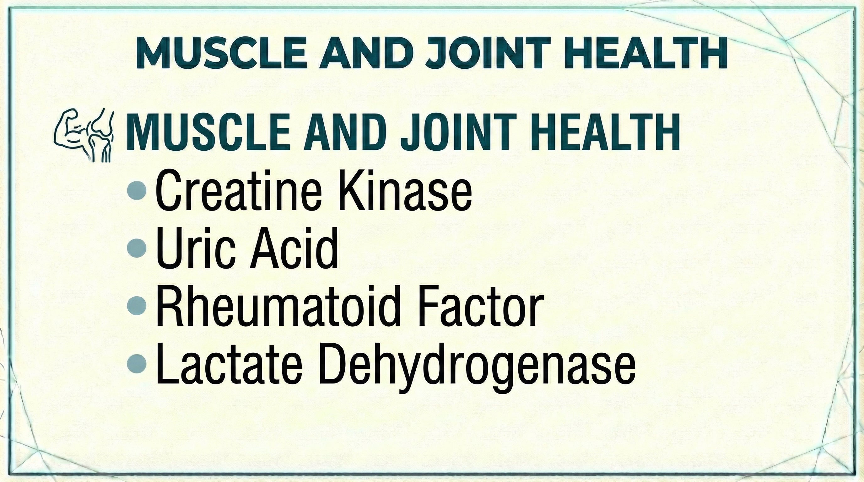 Muscle and Joint Health blood test panel including Creatinine Kinase, Uric Acid, Rheumatoid Factor and Lactate Dehydrogenase