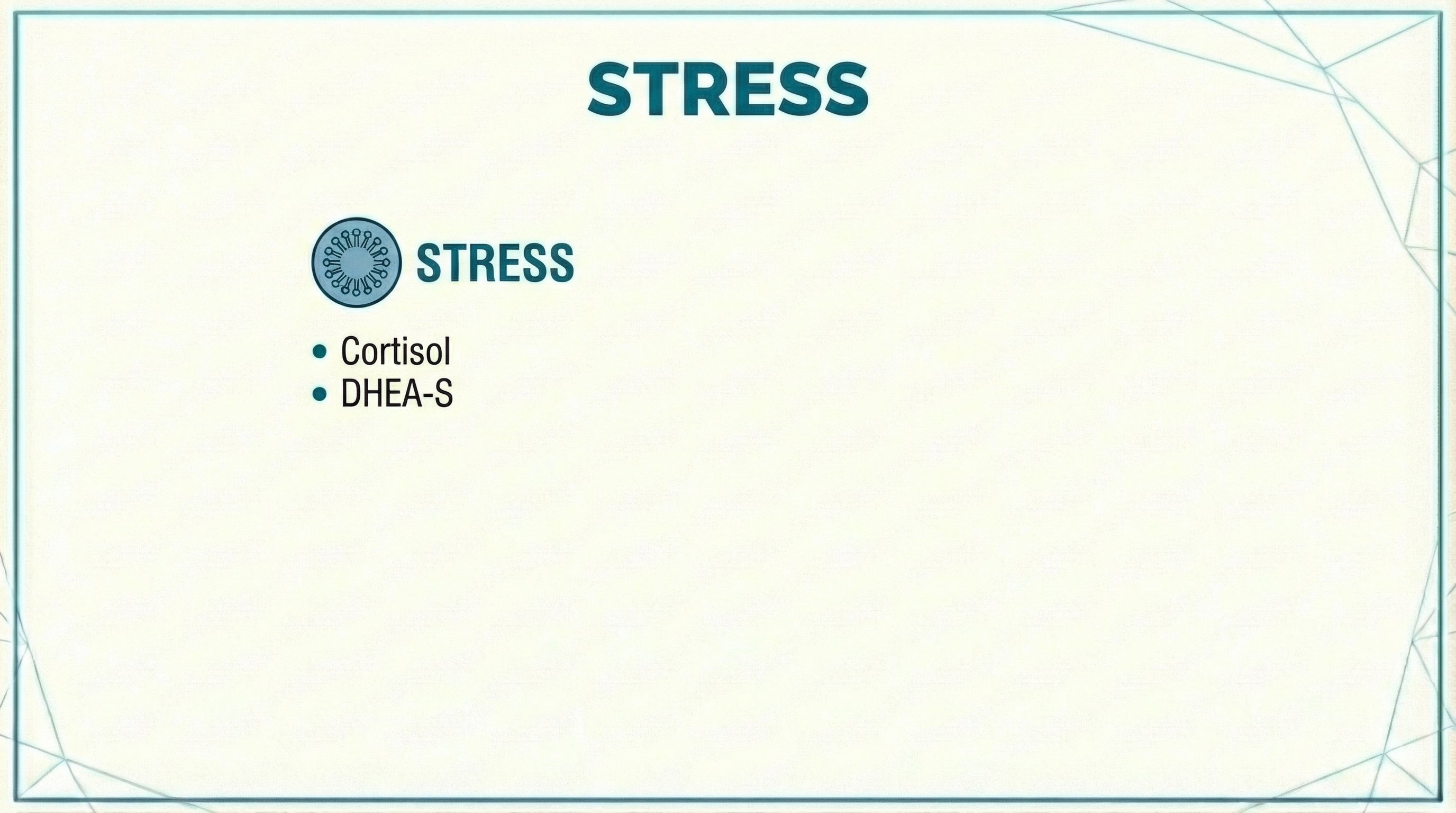 Stress blood test panel measuring Cortisol and DHEA-S to assess adrenal function and the impact of chronic stress