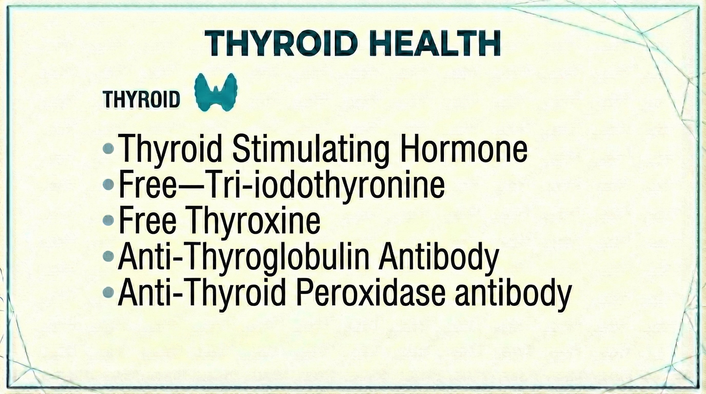 Thyroid Health blood test panel including TSH, Free Tri-iodothyronine, Free Thyroxine, Anti-Thyroglobulin Antibody and Anti-Thyroid Peroxidase Antibody
