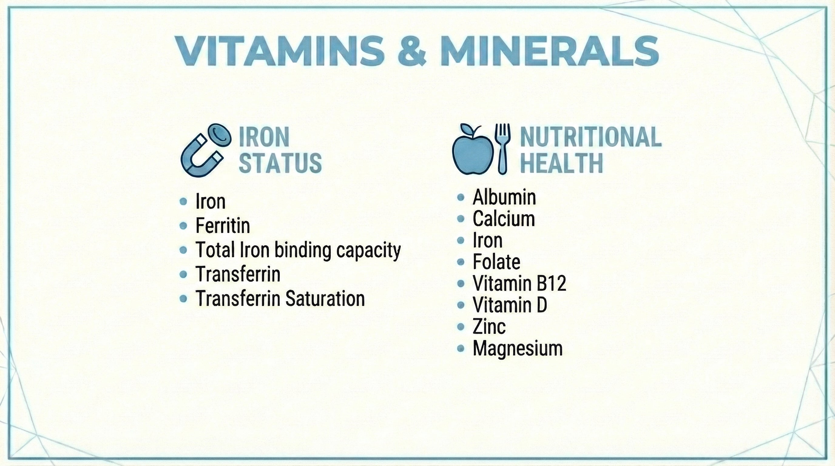 Vitamins and Minerals blood test panel including Iron Status with Ferritin and Transferrin, Folate, Vitamin B12, Vitamin D, Zinc and Magnesium