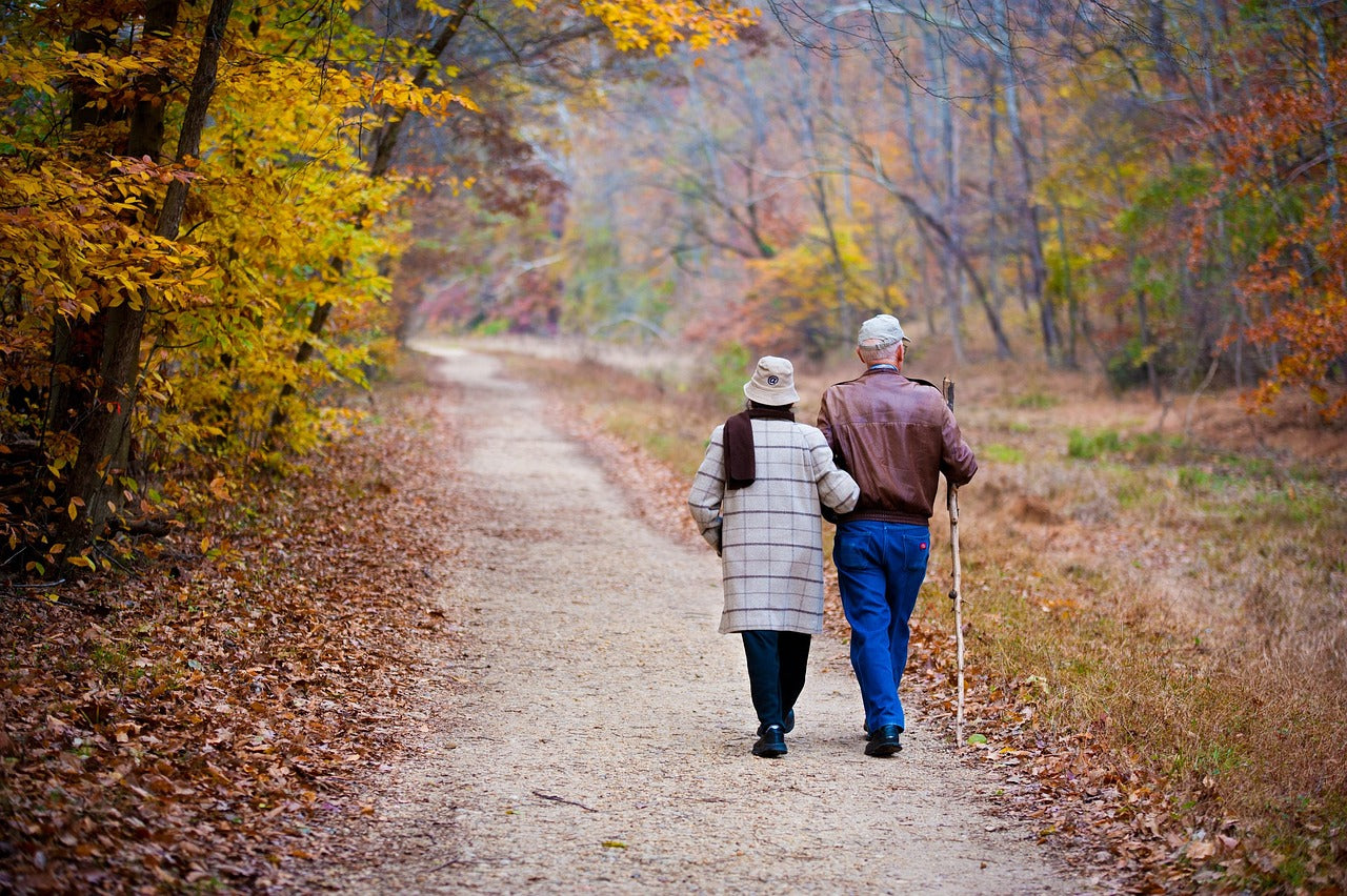 Elderly couple walking together in an autumn woodland — comprehensive health blood test screening