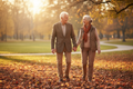 Happy elderly couple walking hand in hand in an autumn park — Rheumatology Extended blood test for joint and autoimmune health